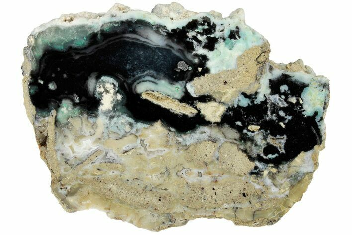 Polished Petrified Chrysocolla Wood End-Cut - Indonesia #186391